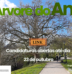 Candidaturas abertas | rvore do ano 2025 | Portugal